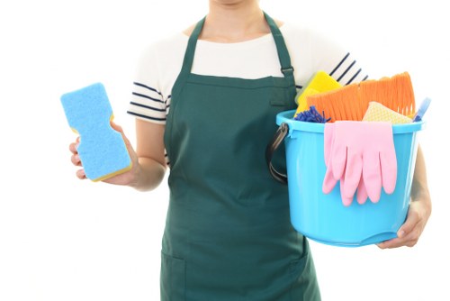 Professional carpet cleaners refreshing a home in Colliers Wood