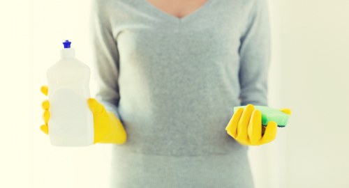 Step-by-step pet stain odour removal on upholstery