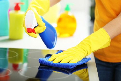 Pet stain odour removal on hardwood and tile floors