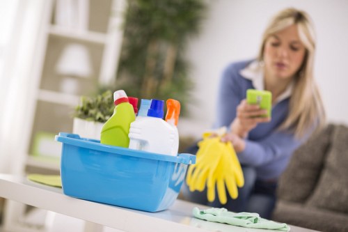 Enzyme cleaner used for pet stain odour removal
